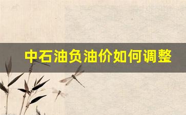 中石油负10号价格查询-中石油负油价如何调整价格