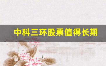 中科三环股票值得长期拥有吗(中科三环股票怎么样)_https://www.hn-life.com_科创板_第1张