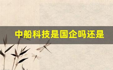 中船科技是国企吗还是私企(中船科技是什么企业)_https://www.brunchezvous.com_旅游景点_第1张