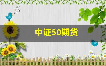 中证50期货(中证500期货行情)_https://www.qldgs.com_国际期货_第1张