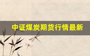 中证煤炭期货行情最新报价(中证煤炭etf)_https://www.haiwangdasha.com_上期能源_第1张