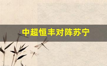 2020中超恒大对苏宁今晚比赛录像-中超恒丰对阵苏宁