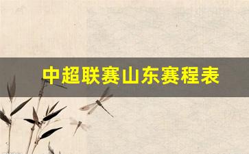 中超联赛山东视频直播-中超联赛山东赛程表