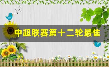中超联赛第十二轮最隹阵容-中超联赛第十二轮五佳球