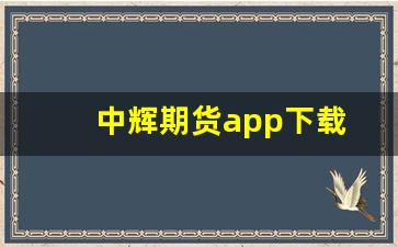 中辉期货app下载(中辉期货app下载安装)_https://www.nalian8.com_北交所_第1张