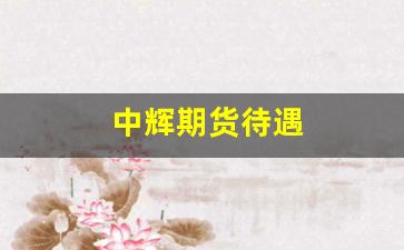 中辉期货待遇(中辉期货营业部有哪些)_https://www.eamstsz.com_北交所_第1张