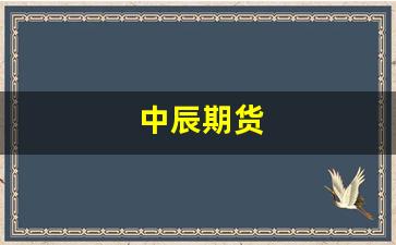 中辰期货(中辰股票300933)_https://www.gfdzclz.com_深交所_第1张