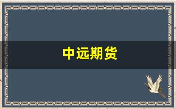 中远期货(中原期货)_https://www.gfdzclz.com_北交所_第1张