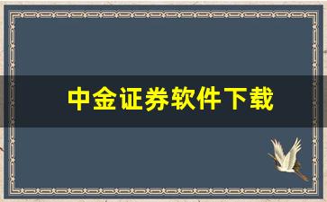 中金证券软件下载(中金证券官网首页)_https://www.rzcpcj.com_开网店_第1张