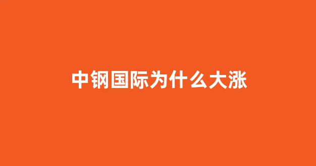 中钢国际为什么大涨(中钢国际怎么回事)_https://www.dcjwmf.com_广期所_第1张