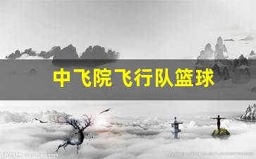 中飞院机队-中飞院飞行队篮球