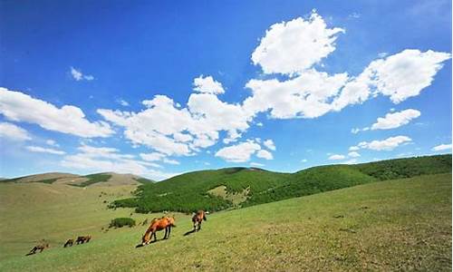 丰宁坝上草原旅游攻略2天自驾车推荐,丰宁坝上草原有哪些景点可以去