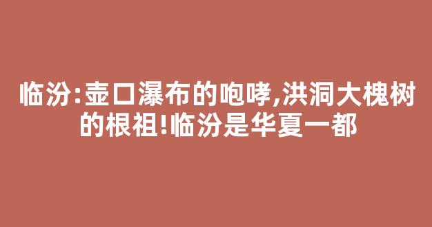 临汾:壶口瀑布的咆哮,洪洞大槐树的根祖!临汾是华夏第一都