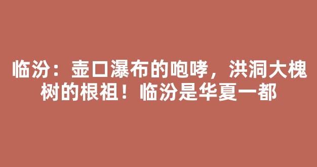 临汾：壶口瀑布的咆哮，洪洞大槐树的根祖！临汾是华夏第一都
