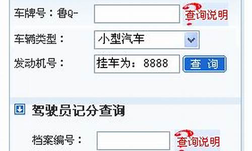 临沂市车辆违章查询_临沂市车辆违章查询网