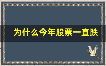 为什么今年股票一直跌(为什么今年的股票大涨)_https://www.gen-fastener.com_广期所_第1张