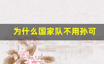 为什么国家队不用孙可可了-为什么国家队不用孙可