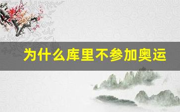 为什么库里不参加东京奥运会-为什么库里不参加奥运会