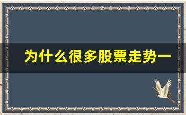 为什么很多股票走势一样(为什么所有股票走势图一模一样)_https://www.nalian8.com_科创板_第1张