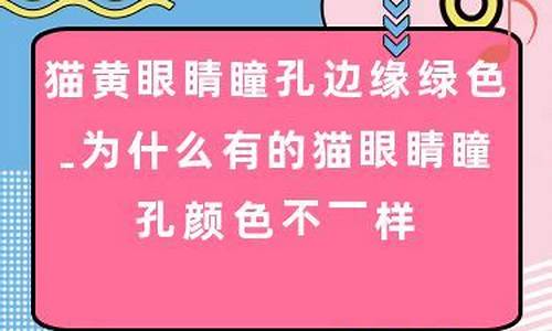 为什么有的金店价格便宜_为什么有的店铺金