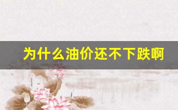 为什么油价下跌这么多-为什么油价还不下跌啊