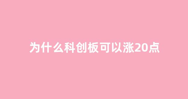 为什么科创板可以涨20点(科创板为何大涨)_https://www.syklpowerbike.com_科创板_第1张