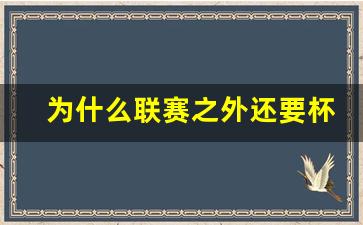 不同联赛为什么可以比赛-为什么联赛之外还要杯赛