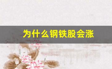 为什么钢铁股会涨(为什么钢铁股会涨停)_https://www.eamstsz.com_创业板_第1张