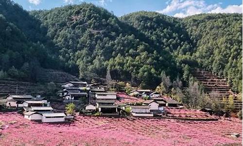 丽江天气7天,10天天气_丽江一周天气预报7天查询结果是什么