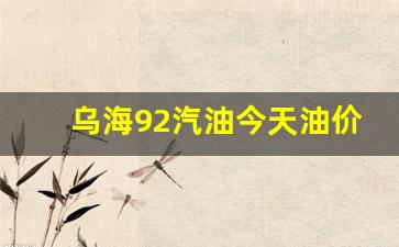 乌海中国石油92号油价-乌海92汽油今天油价