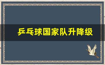 国家乒乓球级别-乒乓球国家队升降级