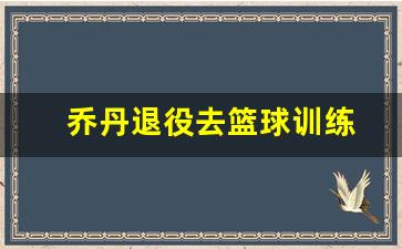乔丹退役去篮球训练-乔丹退役之后做什么了
