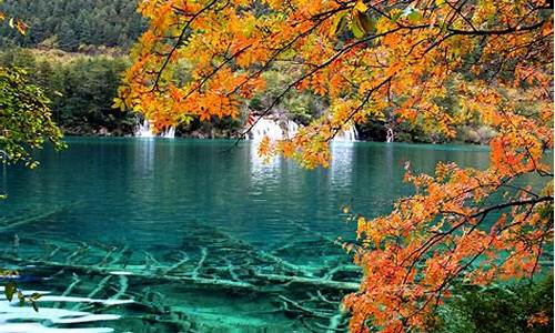 九寨沟旅游攻略必玩的景点_九寨沟旅游攻略必玩的景点有哪些_1