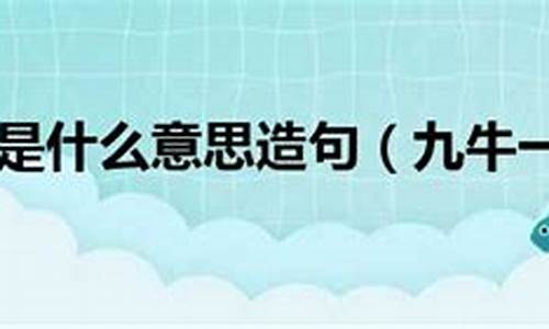 九牛一毛造句小学生简单_九牛一毛造句10字