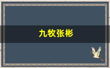 九牧集团张彬-九牧张彬