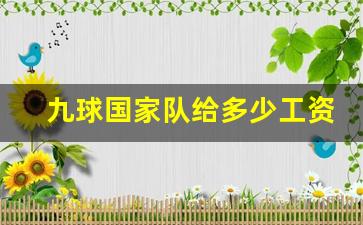 国家队九球运动员排名-九球国家队给多少工资