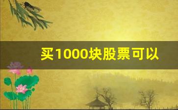 买1000块股票可以赚多少(1000块钱买股票最多会亏多少)_https://www.gfdzclz.com_创业板_第1张