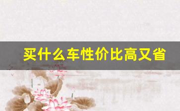 买什么车性价比高又省油(买什么车性价比高又省油 上汽大通领地)_https://www.jumanxin.com_深交所_第1张