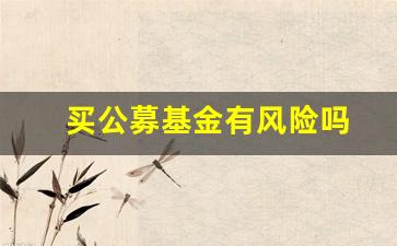 买公募基金有风险吗(买公募基金需要什么条件)_https://www.shshucaipeisong.com_上交所_第1张