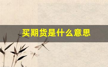 买期货是什么意思(期货买一卖一什么意思)_https://www.eamstsz.com_上交所_第1张