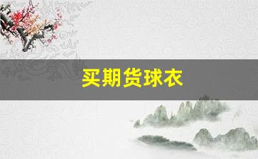 买期货球衣(期货衣服)_https://www.xzdzcjn.com_深交所_第1张