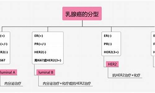 简述乳腺癌的病理分型及病变特点_乳腺癌的病理分型及各型特点