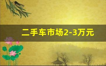 二手车市场2-3万元(二手车市场2-3万元二手货车)_https://www.haiwangdasha.com_中金所_第1张
