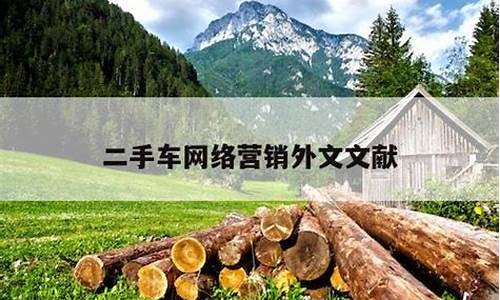 二手车金融文献外文怎么写_二手车汽车金融