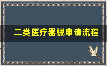 二类医疗器械申请流程(三类医疗器械进销存软件)_https://www.senxinmaoyi.com_邮政编码_第1张