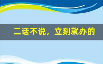 二话不说，立刻就办的意思,二话不说，立刻就办的近义词反义词,二话不说，立刻就办造句例句,二话不说，立刻就办出处及解释-第1张图片-我的生活随想