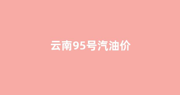 云南95号汽油价格最新_云南95号汽油价