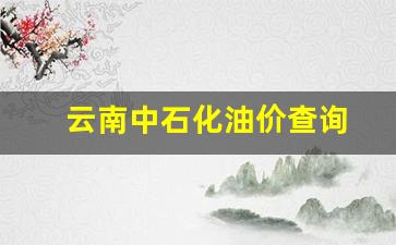 云南中石化价格表最新价格查询-云南中石化