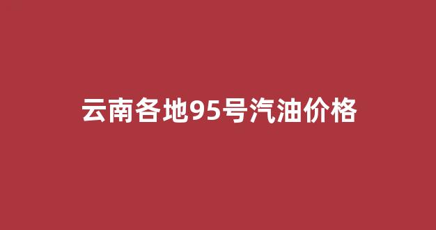 云南各地95号汽油价格_云南各地95号汽油价格查询
