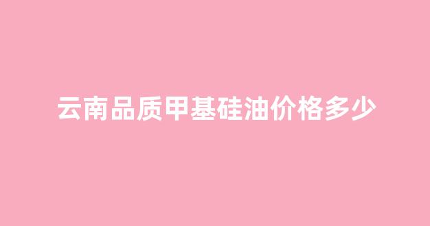 甲基硅醇价格_云南品质甲基硅油价格多少
